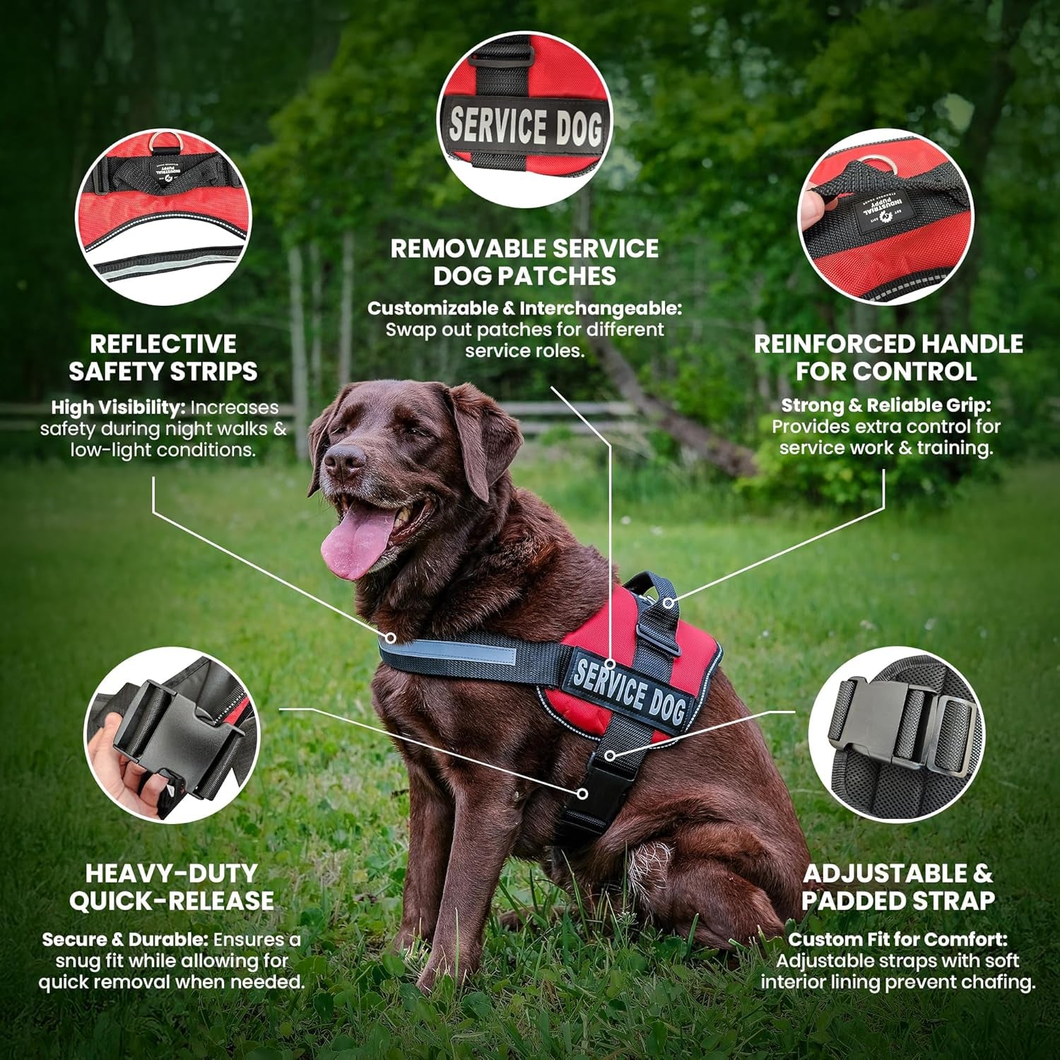 Service Dog in Training Vest Harness, Small 19.5-25 in Red | Durable & Adjustable Vest for Dog with Reflective Straps, Removable Patches, Handle & D-Ring, Travel and Daily Use