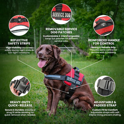 Service Dog in Training Vest Harness, Small 19.5-25 in Red | Durable & Adjustable Vest for Dog with Reflective Straps, Removable Patches, Handle & D-Ring, Travel and Daily Use